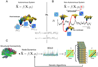 Figure from Arousal-driven critical roaming reproduces human functional connectivity dynamics